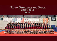 Team Tampa '17