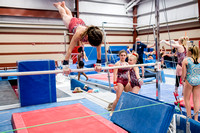 Tampa Gymnastics